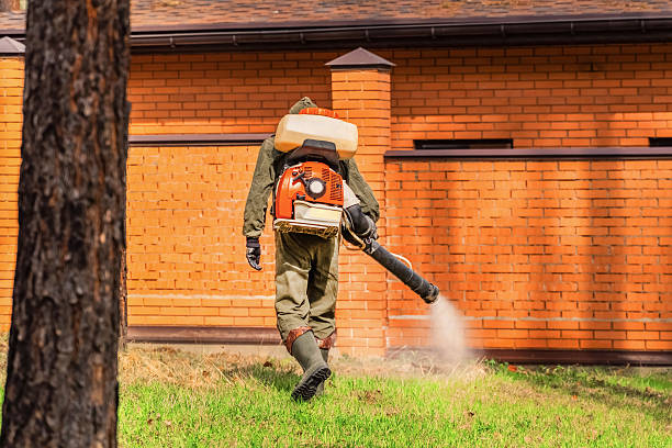 Bed Bug Clearance Verification and Documentation in Edgewater